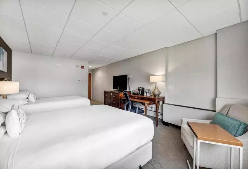 スタンダードルーム, Delta Hotels By Marriott Mount Pleasant