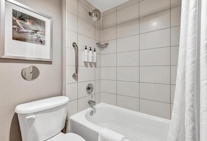 إستوديو قياسى سرير كينج, Delta Hotels By Marriott Mount Pleasant