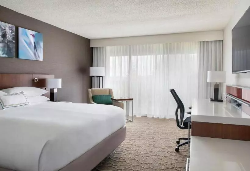 デラックススタジオ, Delta Hotels By Marriott Mount Pleasant