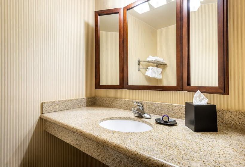 غرفة ديلوكس, Anaheim Majestic Garden