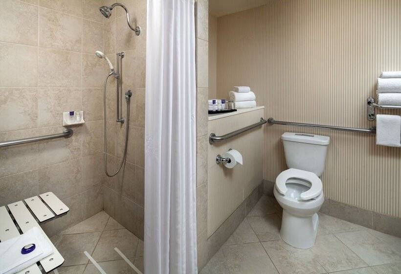 غرفة قياسية سرير كينج لذوى الإحتياجات الخاصة, Anaheim Majestic Garden