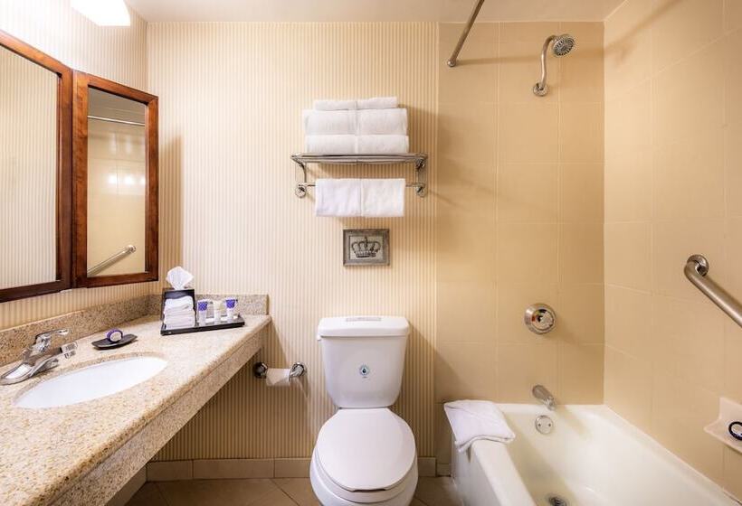 غرفة قياسية, Anaheim Majestic Garden