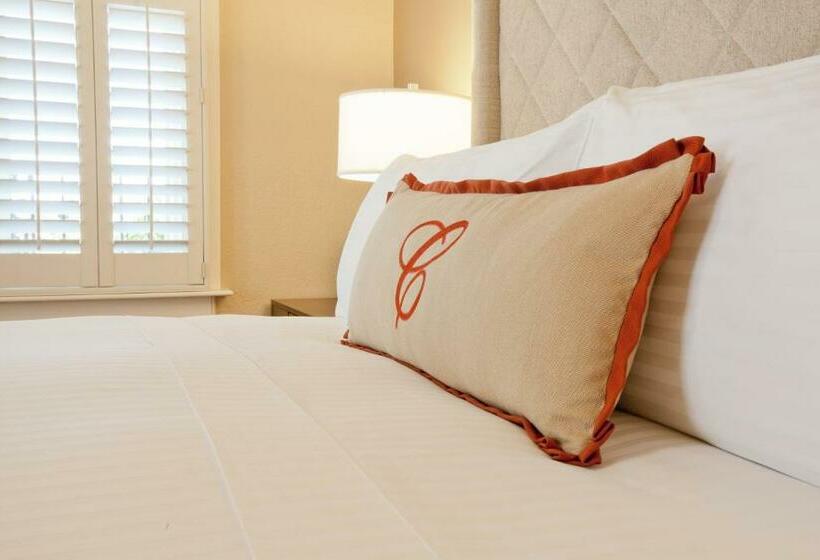 غرفة قياسية, Cardinal