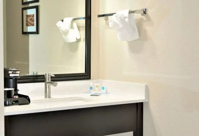 2ダブルベッドのスタンダードルーム, Comfort Inn & Suites Vancouver Downtown City Center