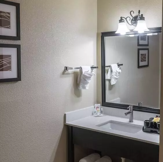 2ダブルベッドのスタンダードルーム, Comfort Inn & Suites Vancouver Downtown City Center