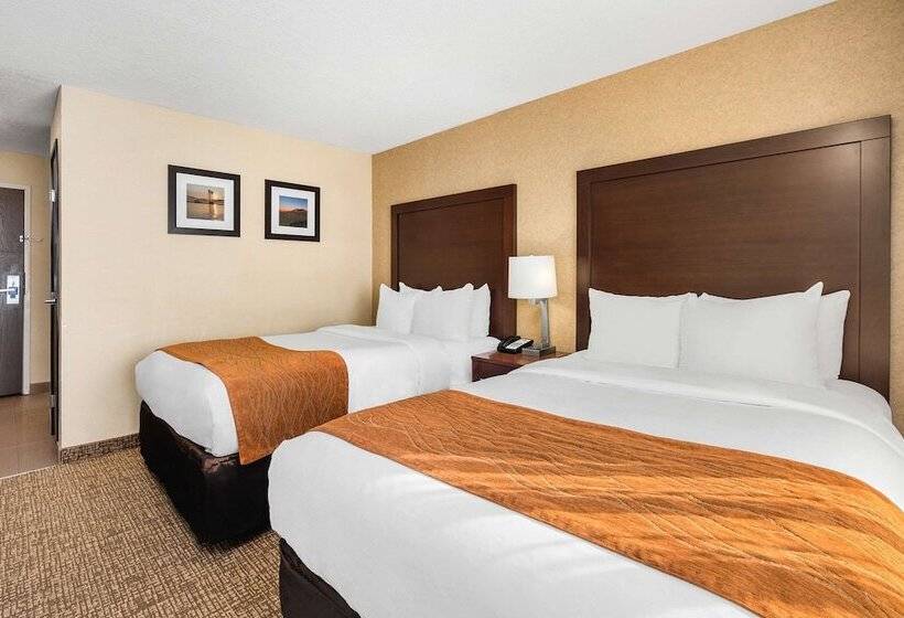 ２ダブルベッドのスタンダードルーム, Comfort Inn & Suites Vancouver Downtown City Center