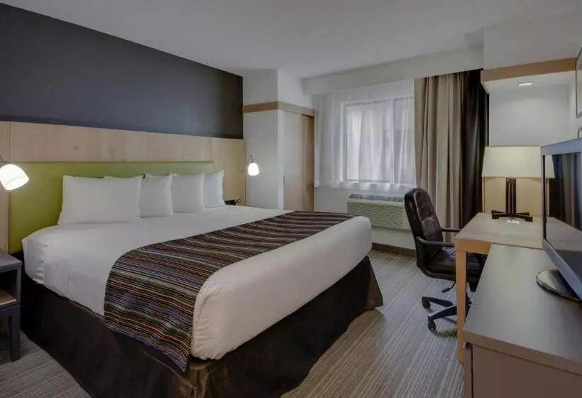 キングサイズベッドのスタンダードルーム, Country Inn & Suites By Radisson, Frederick, Md