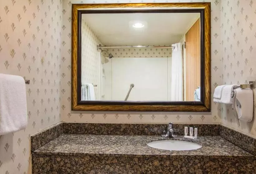 Standard-studio, Days Inn By Wyndham Sherman