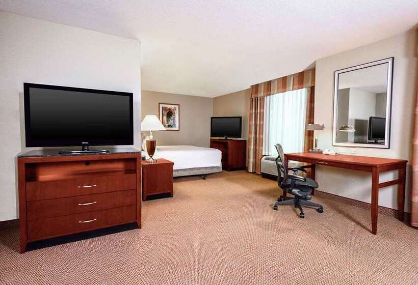 جناح جونيور سرير كينج, Hilton Boston Logan Airport