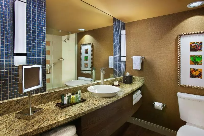 اتاق استاندارد با چشمانداز رودخانه, Hilton Palacio Del Rio