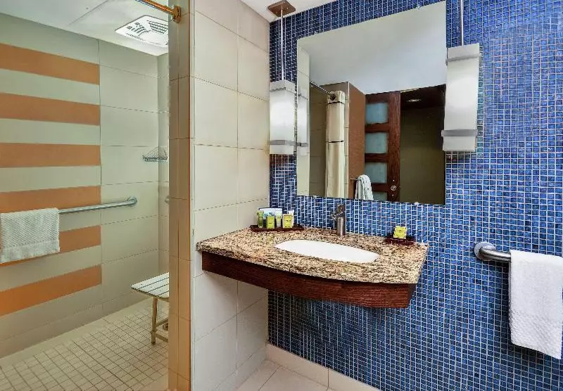 اتاق استاندارد با چشمانداز رودخانه, Hilton Palacio Del Rio