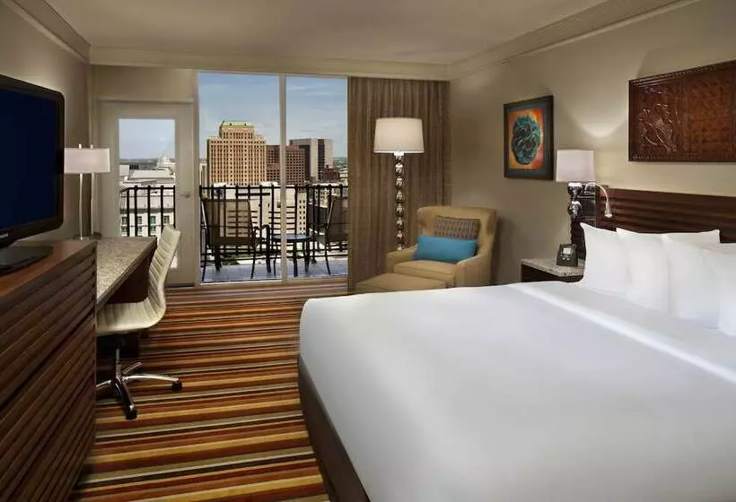 اتاق استاندارد با تخت دوبل برای معلولان, Hilton Palacio Del Rio