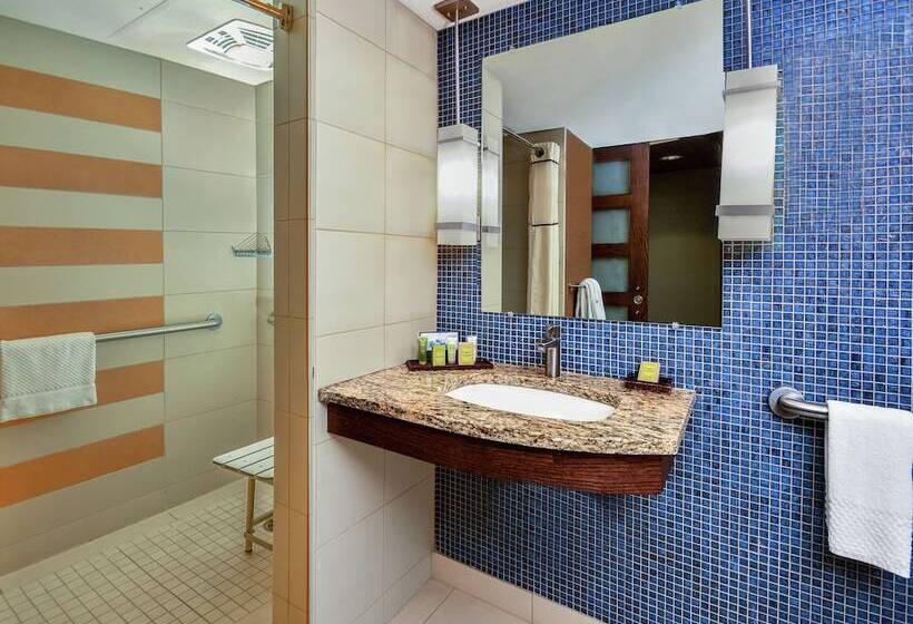 장애인을 위한 더블 침대 스탠다드 룸, Hilton Palacio Del Rio