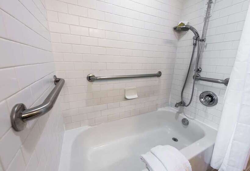 스탠다드 룸, Hilton Palacio Del Rio