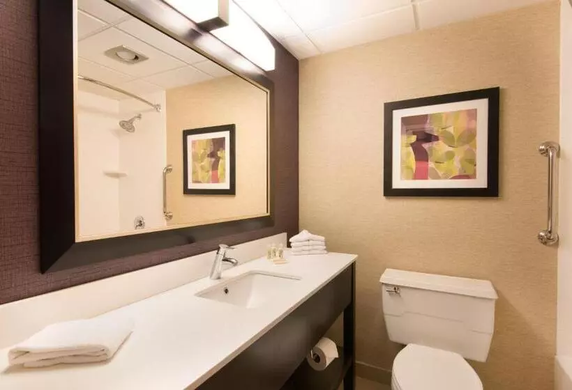 اتاق استاندارد با تخت بزرگ, Holiday Inn Williamsport, An Ihg