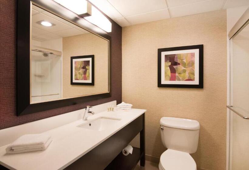 غرفة ديلوكس سرير كينج, Holiday Inn Williamsport, An Ihg