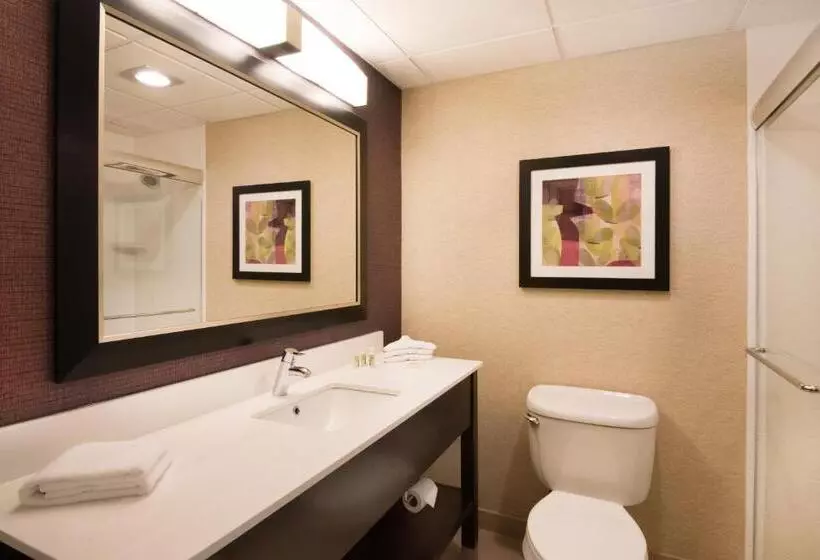 اتاق لوکس با تخت بزرگ, Holiday Inn Williamsport, An Ihg