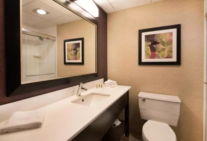 سوئیت با تخت بزرگ, Holiday Inn Williamsport, An Ihg