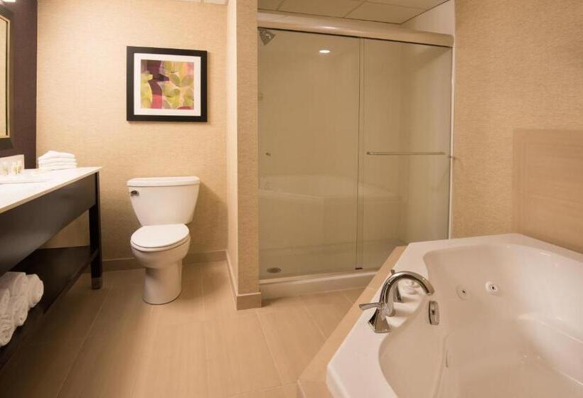 جناح سرير كينج, Holiday Inn Williamsport, An Ihg