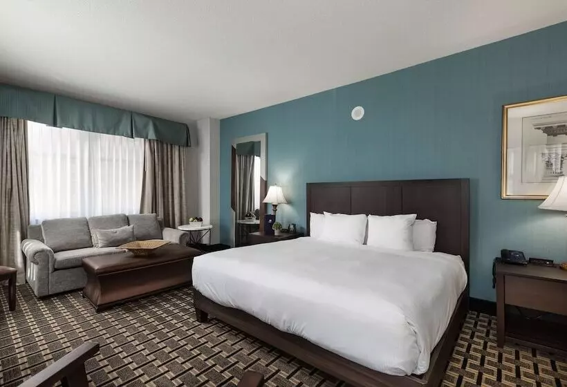 スタンダードルーム, Inn At The Colonnade Baltimore A Doubletree By Hilton