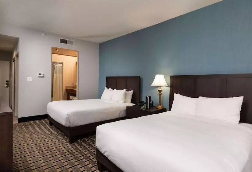 身障者適用スタンダードルーム, Inn At The Colonnade Baltimore A Doubletree By Hilton