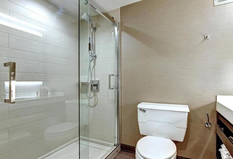 غرفة قياسية سرير كينج, Tulsa Marriott Southern Hills