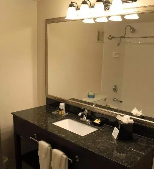 اتاق لوکس با تخت بزرگ, Seville Plaza Hotel, Trademark Collection By Wyndham