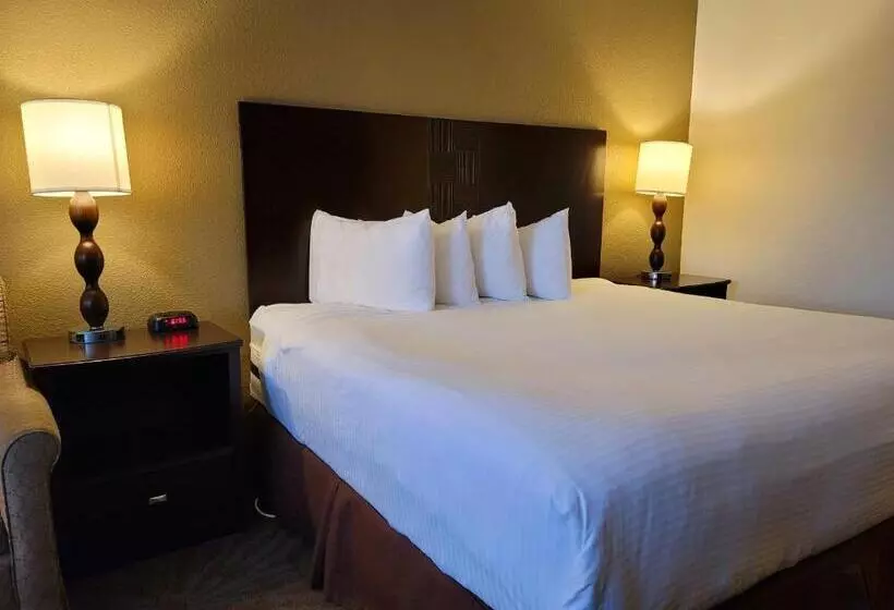 اتاق استاندارد با تخت بزرگ, Seville Plaza Hotel, Trademark Collection By Wyndham