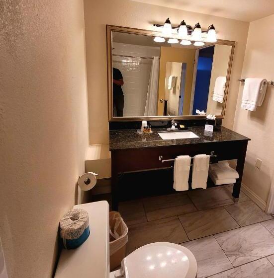 חדר סטנדרט עם מיטת קינג, Seville Plaza Hotel, Trademark Collection By Wyndham