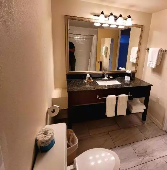 اتاق استاندارد با تخت بزرگ, Seville Plaza Hotel, Trademark Collection By Wyndham