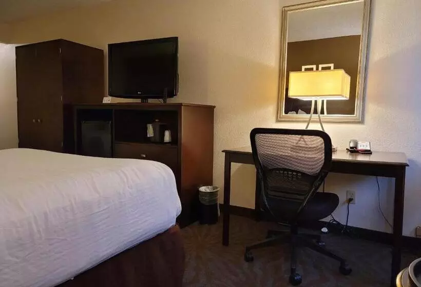 اتاق استاندارد برای معلولان, Seville Plaza Hotel, Trademark Collection By Wyndham