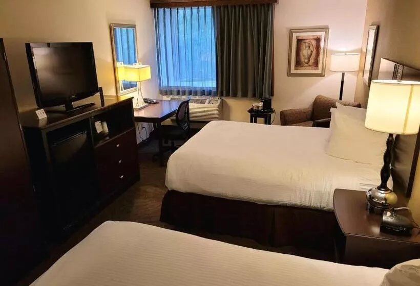 اتاق استاندارد برای معلولان, Seville Plaza Hotel, Trademark Collection By Wyndham