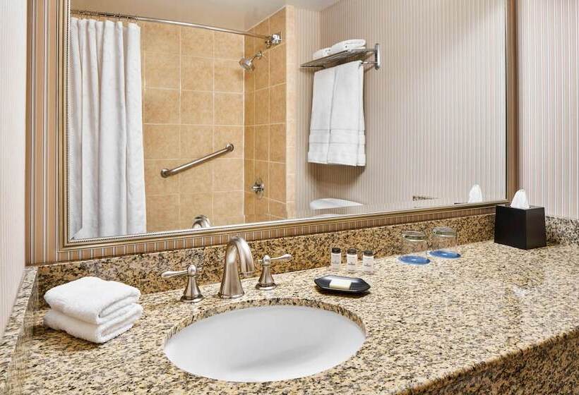 身障者適用ダブルベッド付きスタンダードルーム, Sheraton Inner Harbor