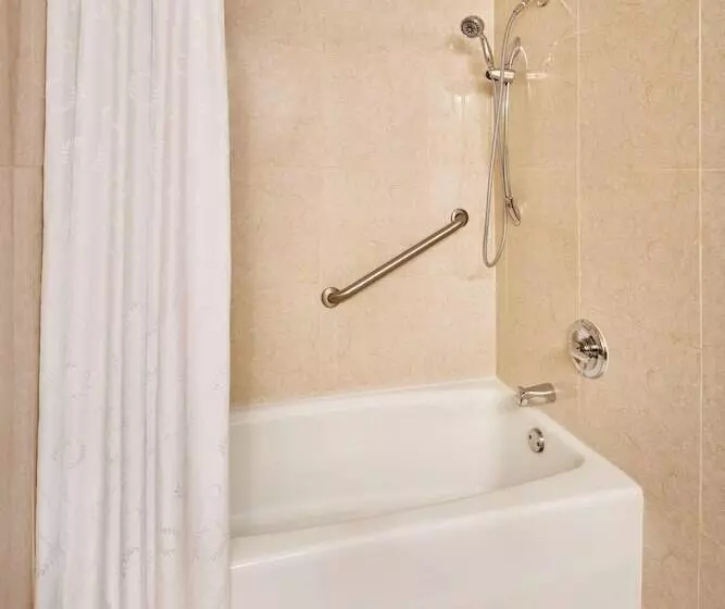 身障者適用ダブルベッド付きスタンダードルーム, Sheraton Inner Harbor