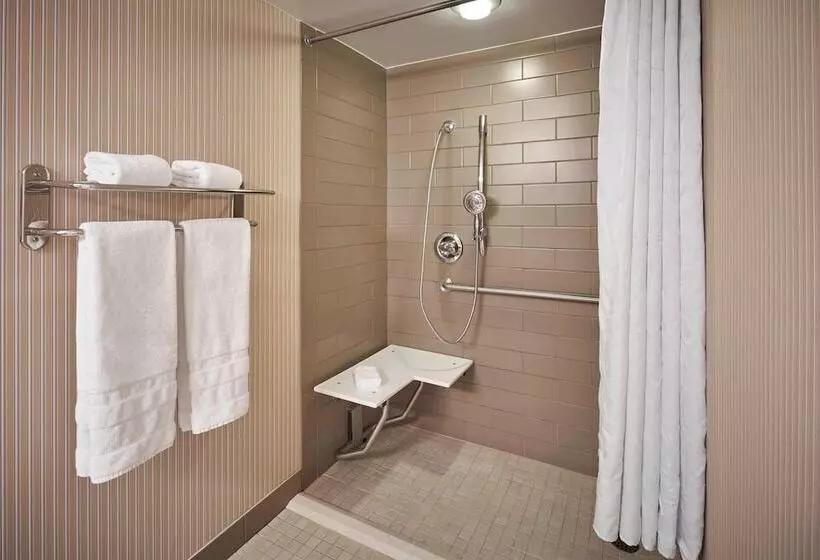 身障者適用ダブルベッド付きスタンダードルーム, Sheraton Inner Harbor