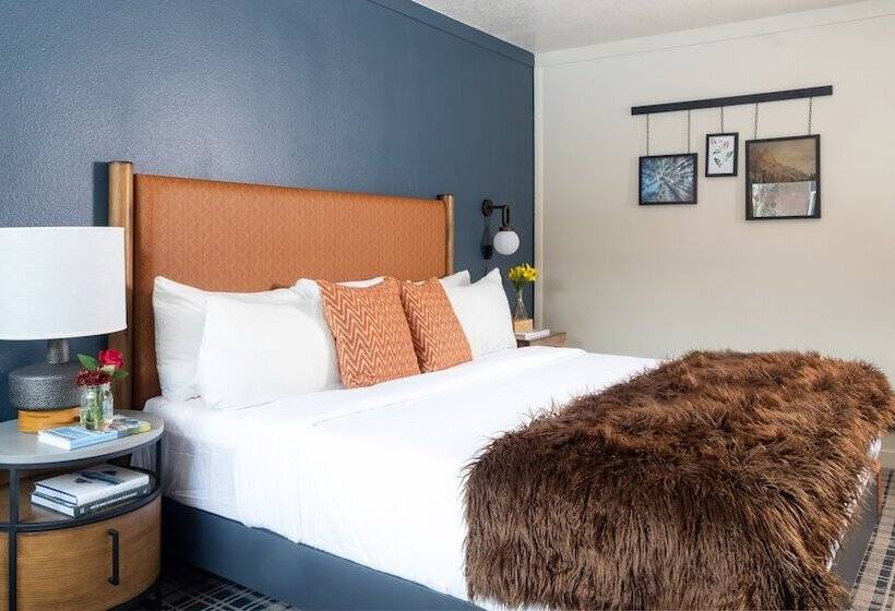 اتاق لوکس, Outbound Mammoth