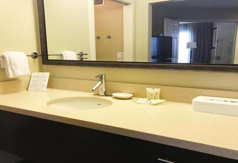 جناح لذوى الاحتياجات الخاصة, Sonesta Es Suites Chatsworth