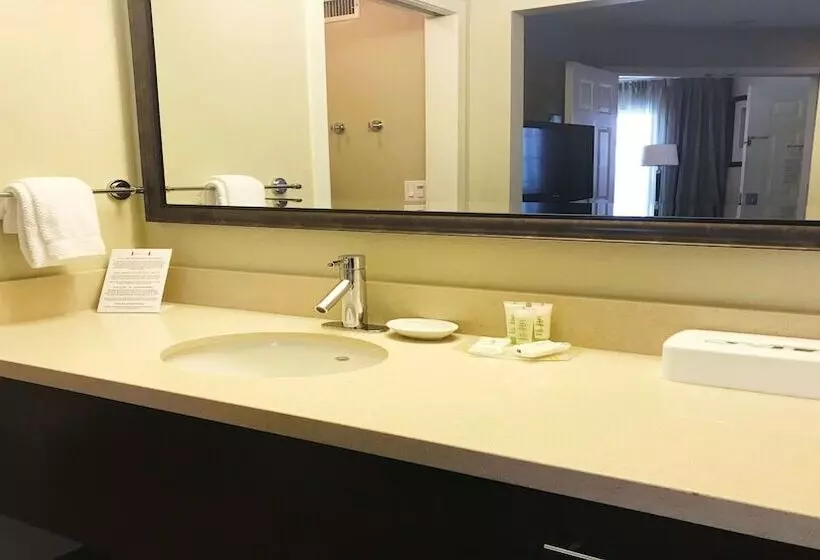 سوئیت 2 خوابه, Sonesta Es Suites Chatsworth