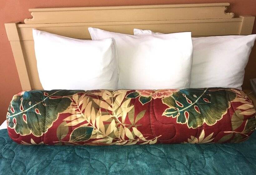 غرفة قياسية, Sun Viking Lodge  Daytona Beach