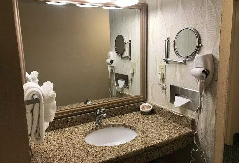 スタンダードルーム, Sun Viking Lodge  Daytona Beach