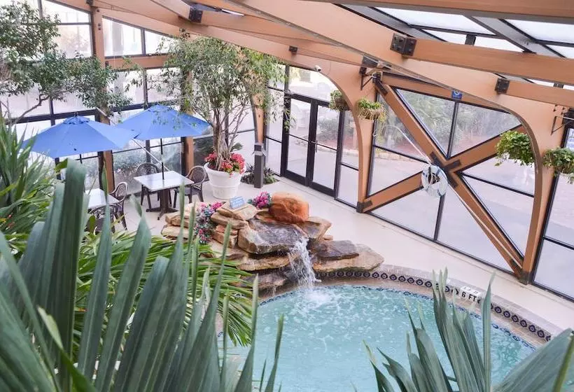 スタンダードルーム, Sun Viking Lodge  Daytona Beach