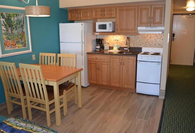 غرفة قياسية, Sun Viking Lodge  Daytona Beach