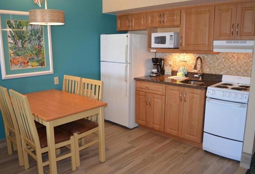 غرفة قياسية, Sun Viking Lodge  Daytona Beach