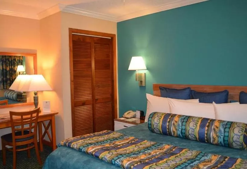 キングサイズベッドのスタンダードルーム, Sun Viking Lodge  Daytona Beach