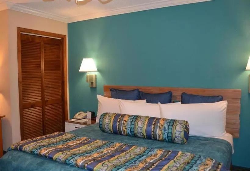 キングサイズベッドのスタンダードルーム, Sun Viking Lodge  Daytona Beach