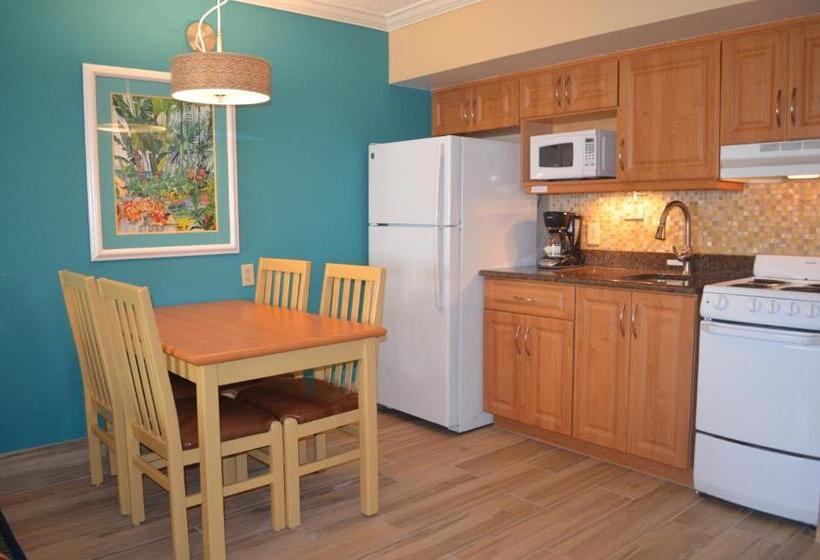 جناح مطلّ علي البحر, Sun Viking Lodge  Daytona Beach