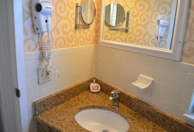 جناح مطلّ علي البحر, Sun Viking Lodge  Daytona Beach