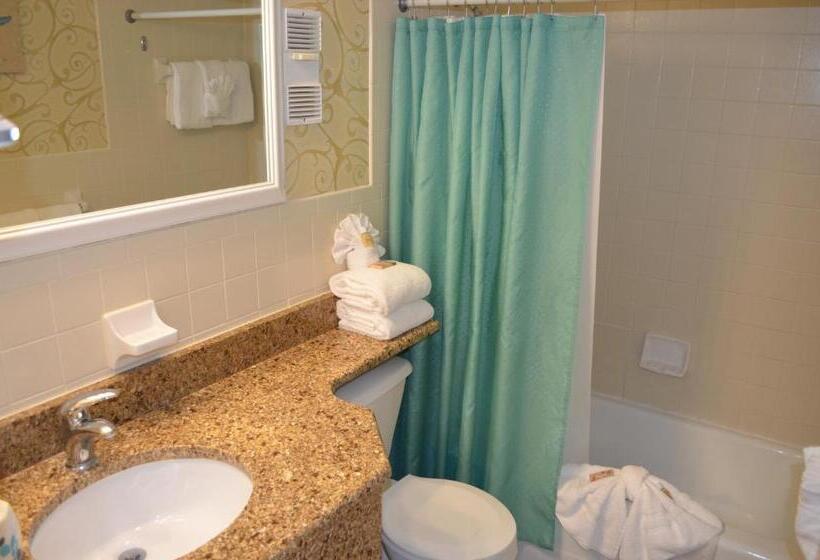 جناح ذو إطلالة جانبية على البحر, Sun Viking Lodge  Daytona Beach