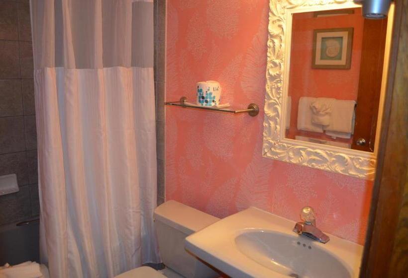 Номер Executive Кровать Кинг, Sun Viking Lodge  Daytona Beach