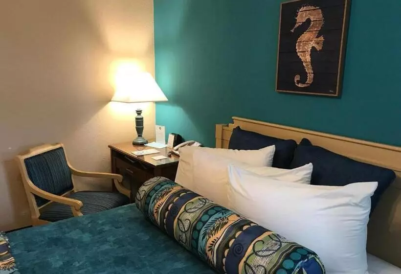身障者適用スタンダードルーム, Sun Viking Lodge  Daytona Beach